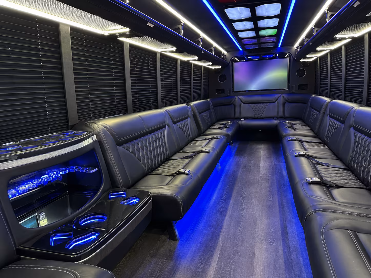 kingsport 20 passenger party bus inside
